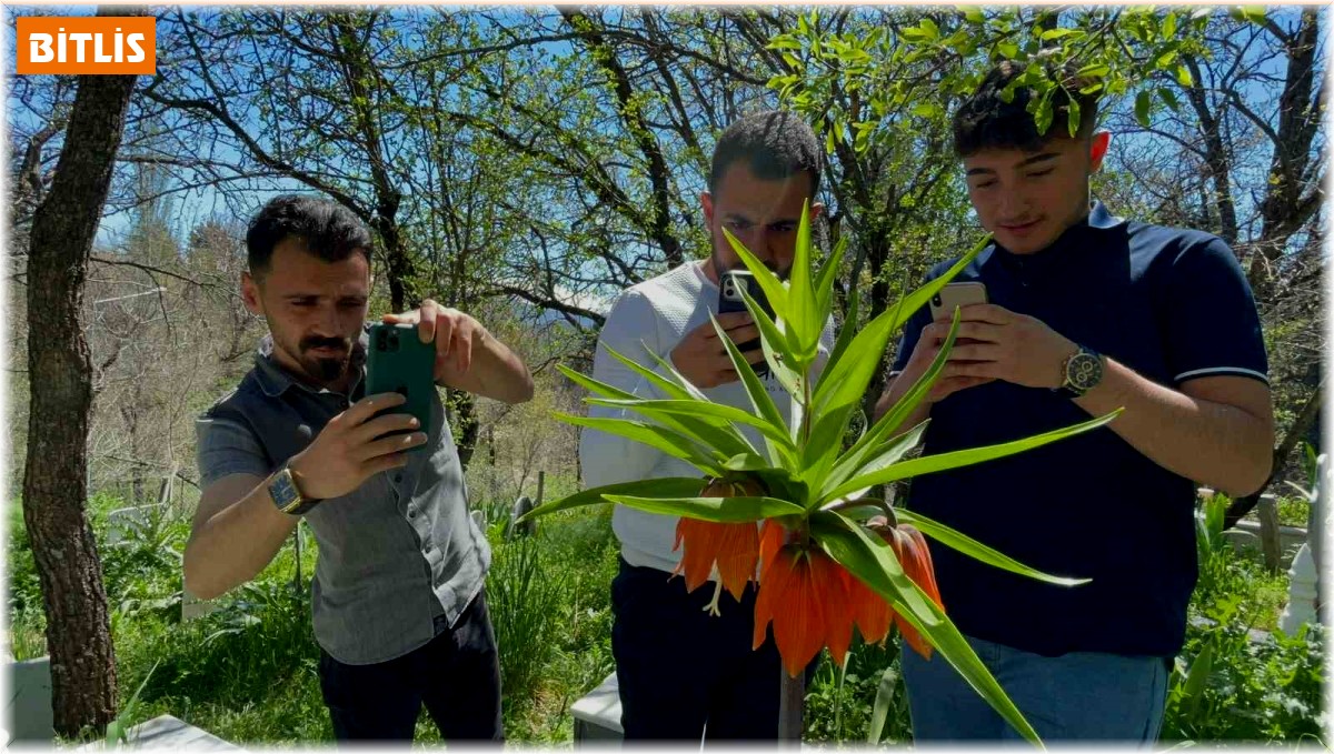 'Hüzün Çiçeği'ni koparanlara 244 bin 315 TL ceza