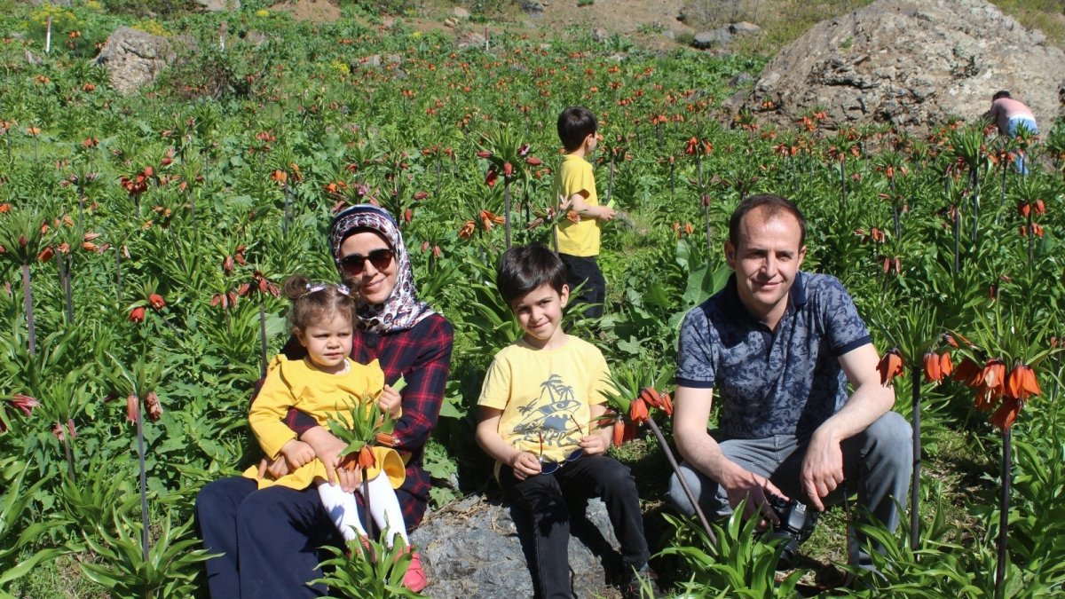 Huzur ortamıyla ters lalelere ilgi arttı