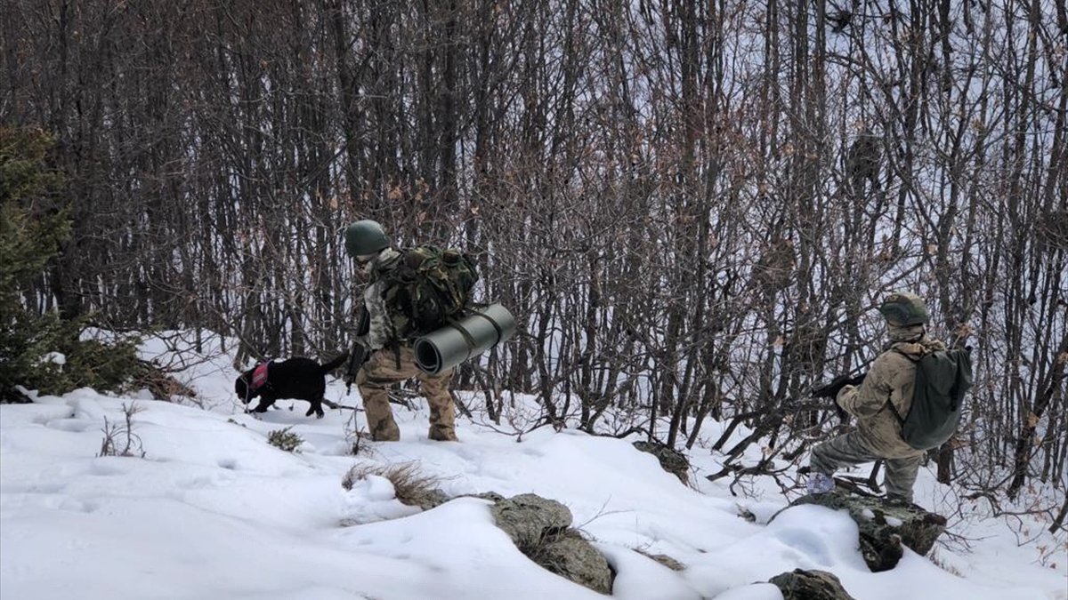 İçişleri Bakanlığınca "Eren-11 Sehi Ormanları Operasyonu" başlatıldı