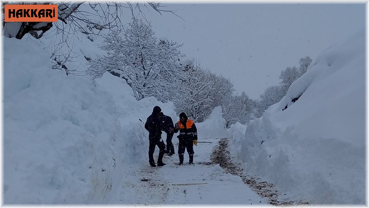 İçme suyu kaynağının üzerine çığ düştü, şehir susuz kaldı