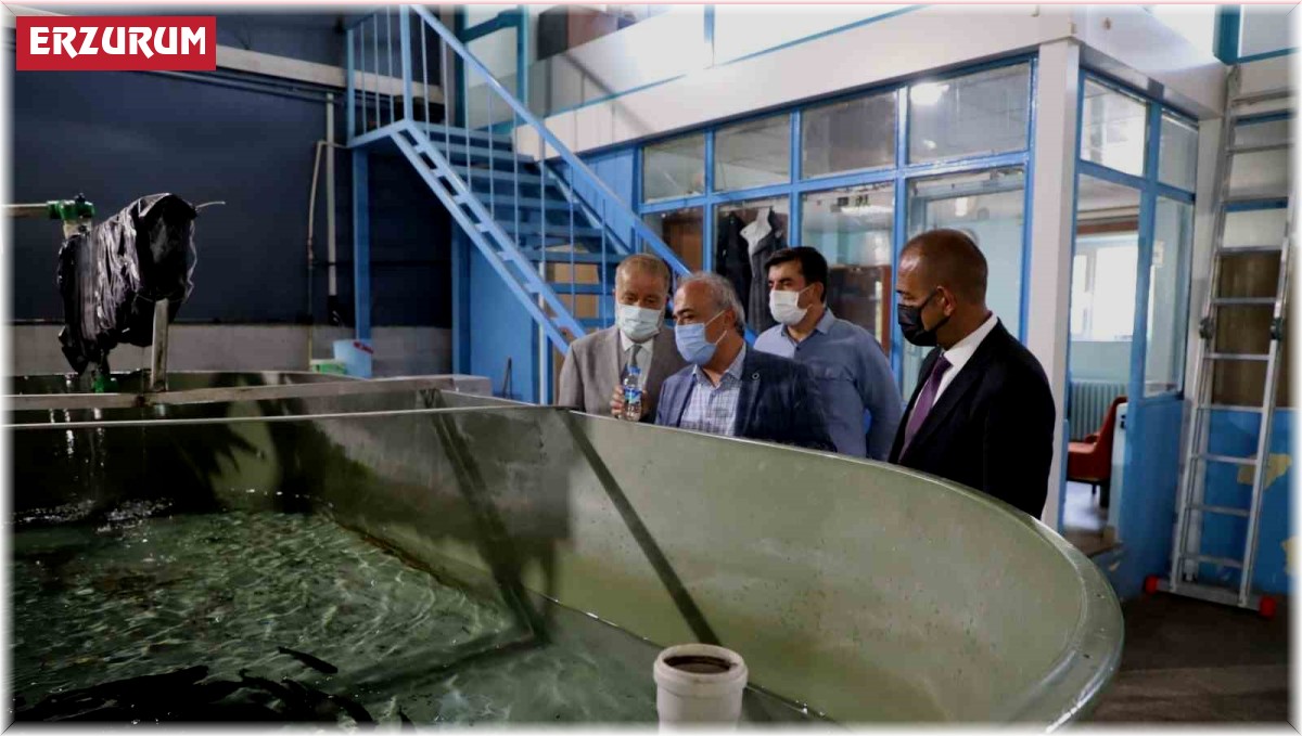 İçsu Balıkları Araştırma ve Uygulama Birimi, balık üretimini sürdürüyor