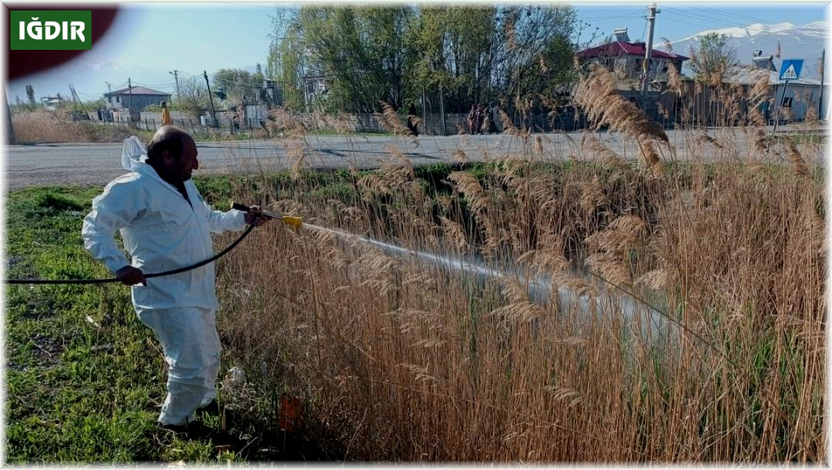 Iğdır belediyesinden sivrisinek ve haşerelere karşı ilaçlama
