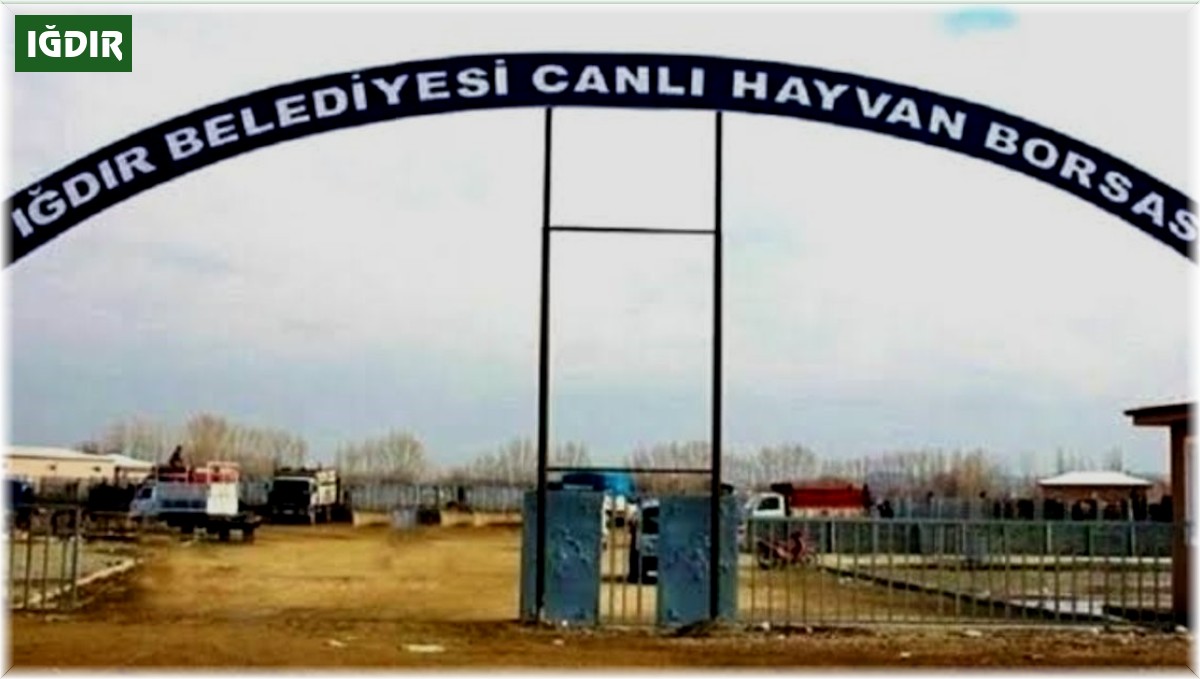 Iğdır Canlı Hayvan Borsası yarın açılıyor