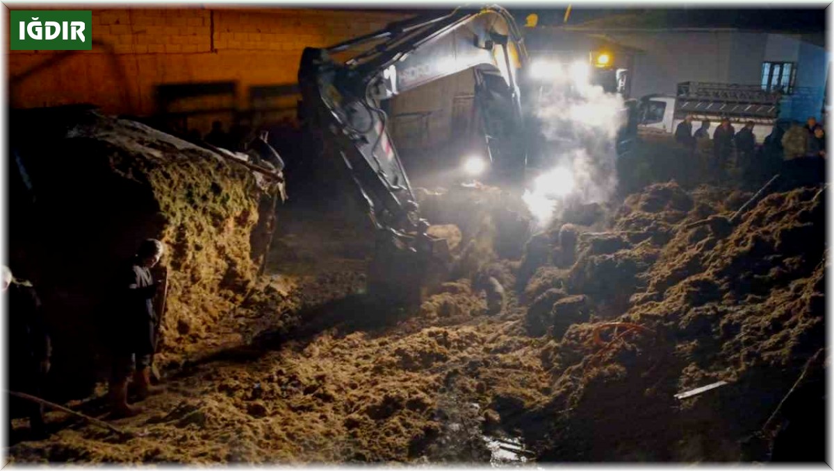 Iğdır'da 200 küçükbaş hayvan yanmaktan son anda kurtarıldı