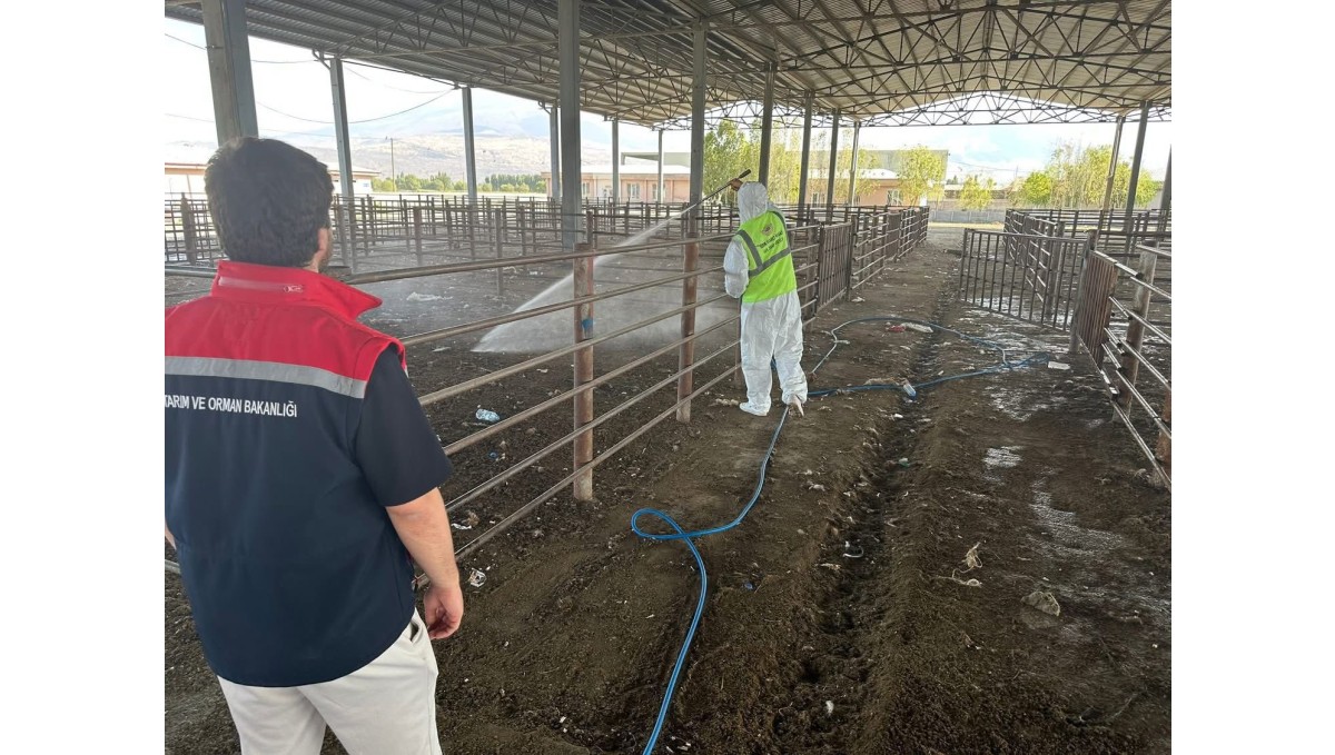 Iğdır'da açılan hayvan pazarı 2 hafta sonra tekrar kapatıldı