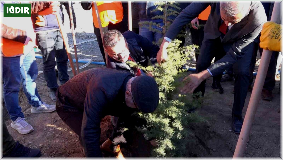 Iğdır'da ağaçlandırma seferberliği