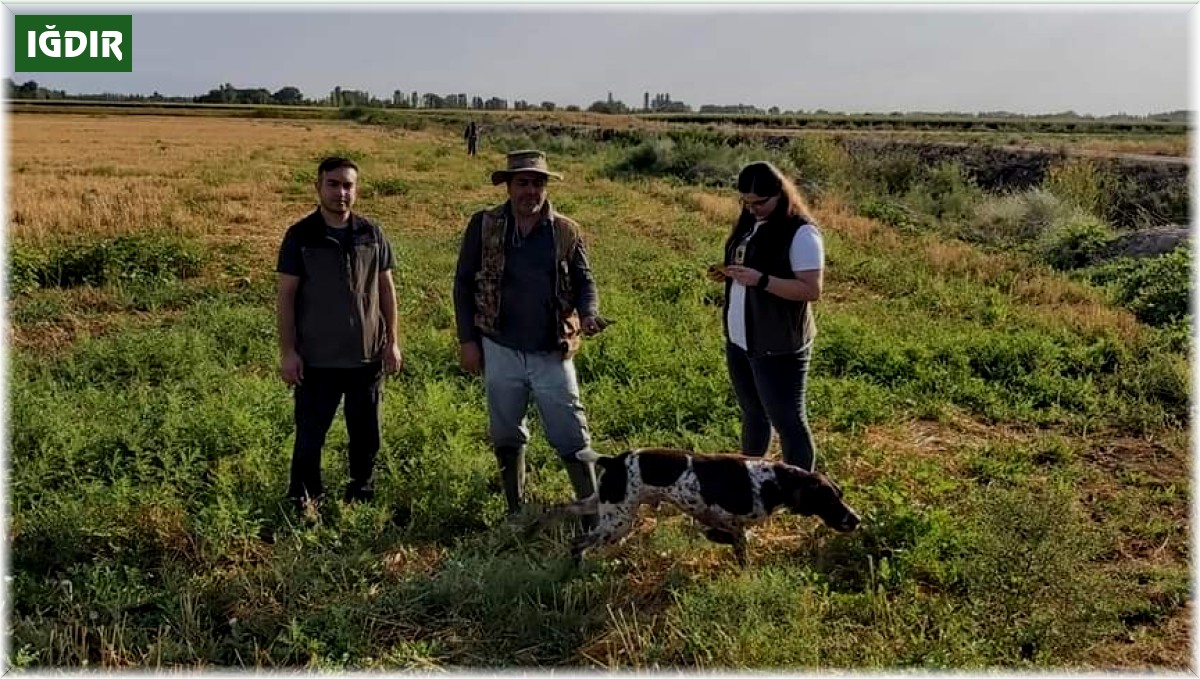 Iğdır'da av kontrol faaliyetleri devam ediyor