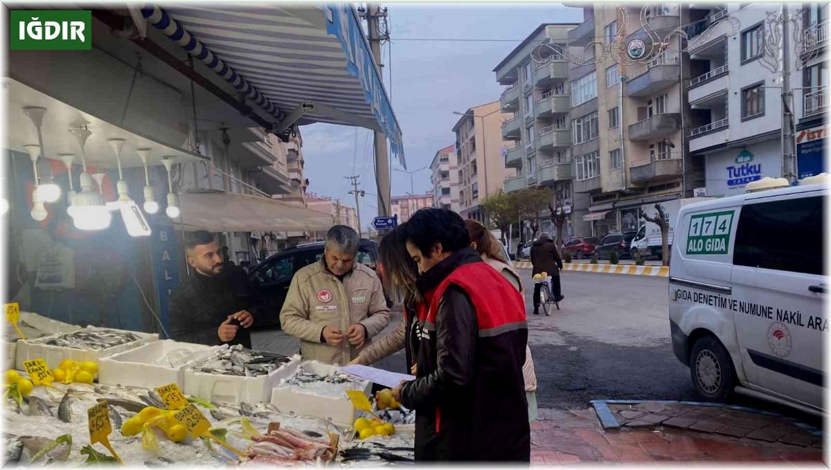Iğdır'da balık satışı yapan işyerleri denetlendi