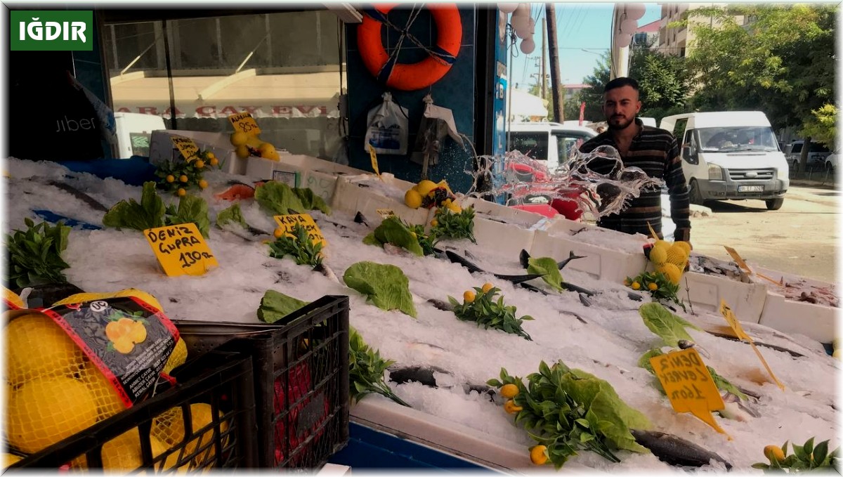 Iğdır'da balıklar tezgahtaki yerini aldı