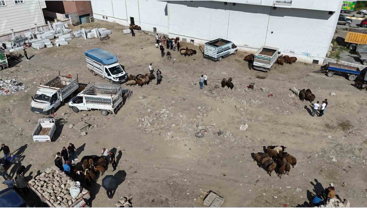 Iğdır'da bayrama 1 gün kala kurbanlık telaşı havadan görüntülendi