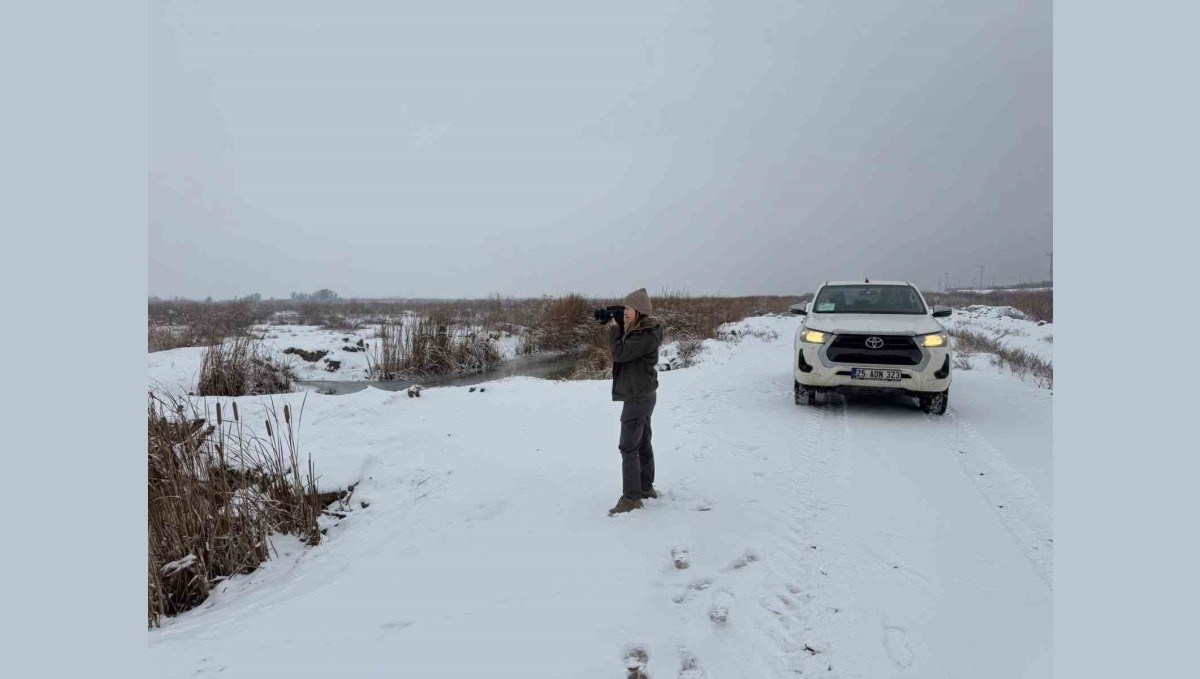 Iğdır'da belgesiz avlanan şahsa idari yaptırım uygulandı