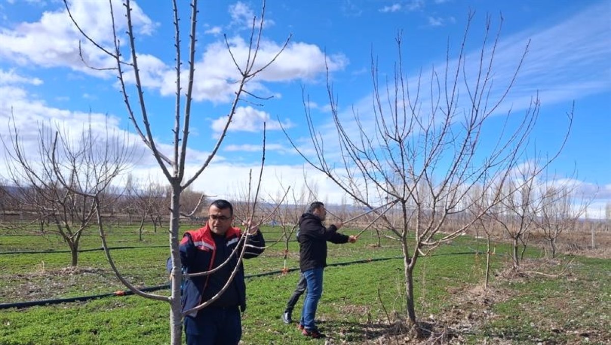 Iğdır'da çiftçilere uygulamalı meyve ağacı budama eğitimi