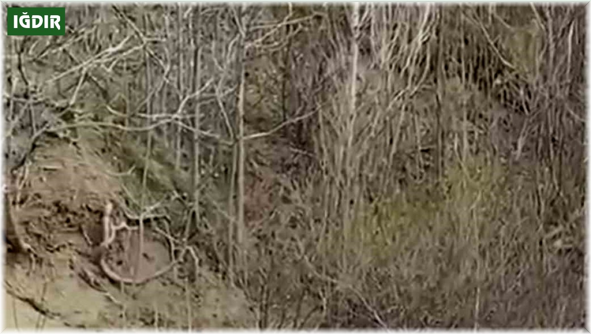 Iğdır'da dere yatağına düşen çocuğun cansız bedeni bulundu