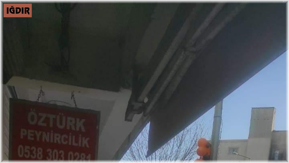 Iğdır'da dışarıda satışa sunulan etleri köpek yedi