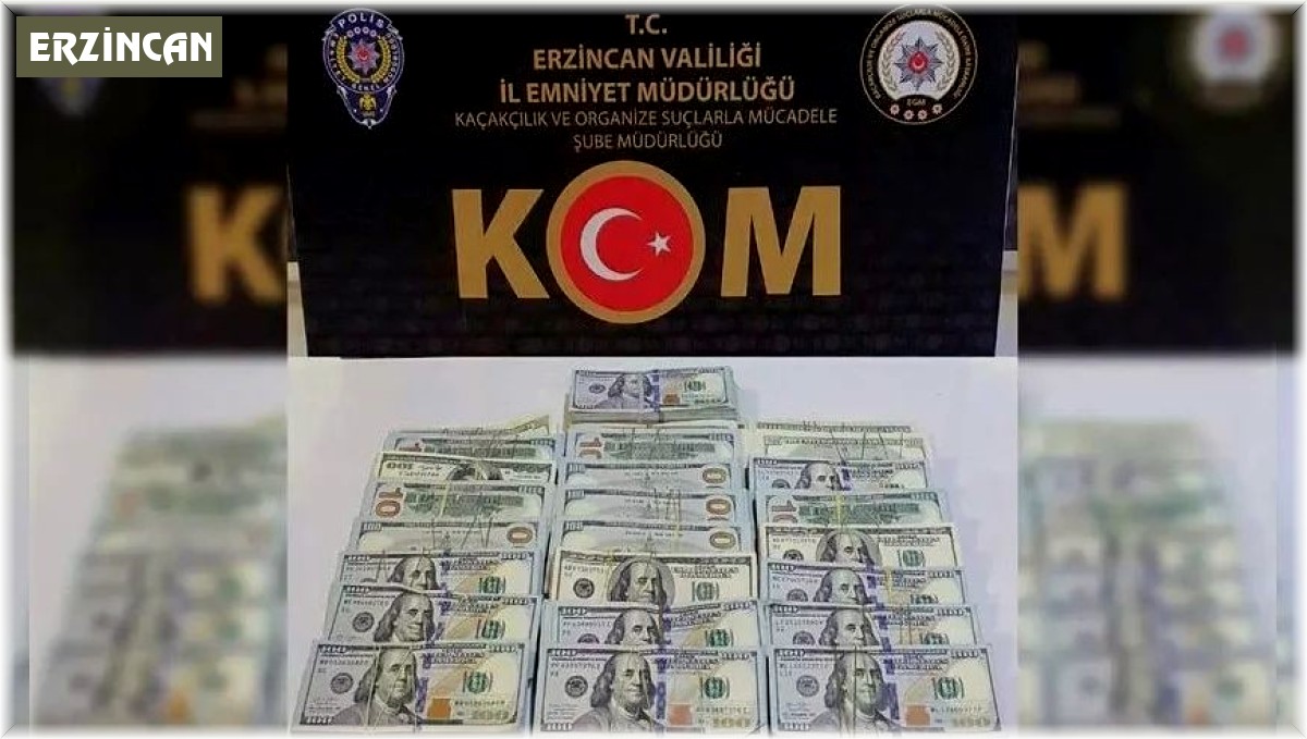 Iğdır'da dolar gasp ettiği öne sürülen şüpheli Erzincan'da yakalandı