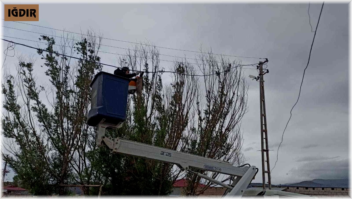 Iğdır'da elektrik tellerine takılan karga kurtarıldı