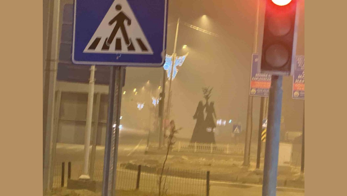 Iğdır'da gece saatlerinde yoğun sis etkili oldu