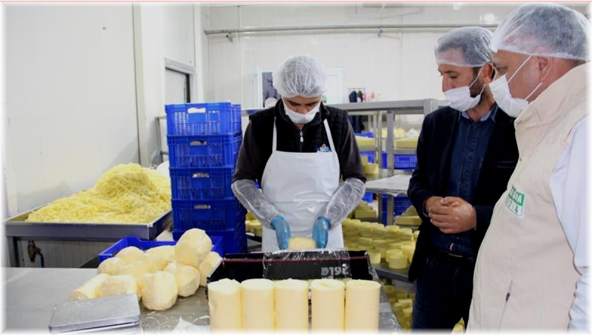 Iğdır'da 'Gıda denetim seferberliği'