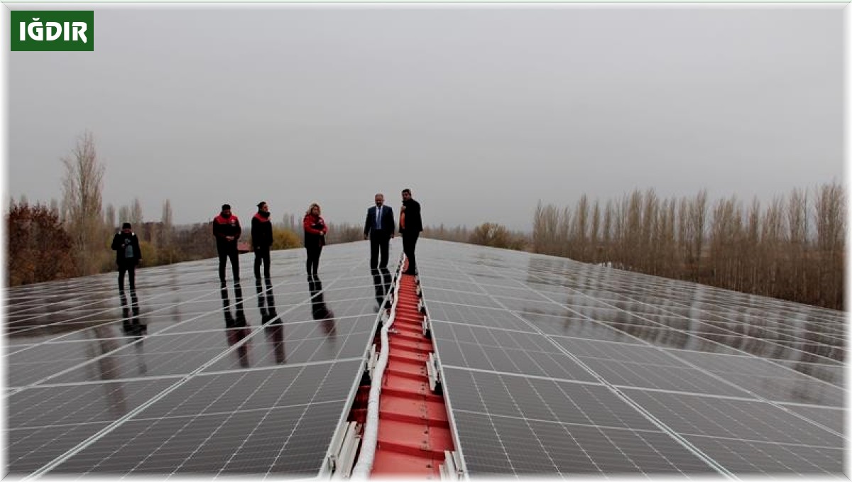 Iğdır'da 'Güneş Enerji Santrali Projesi' tamamlandı