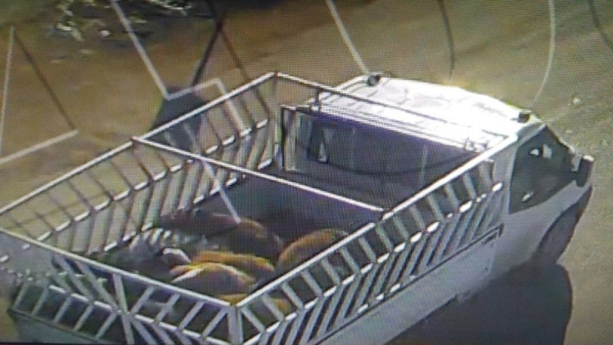 Iğdır'da hayvan hırsızlığı 1 kişi tutuklandı