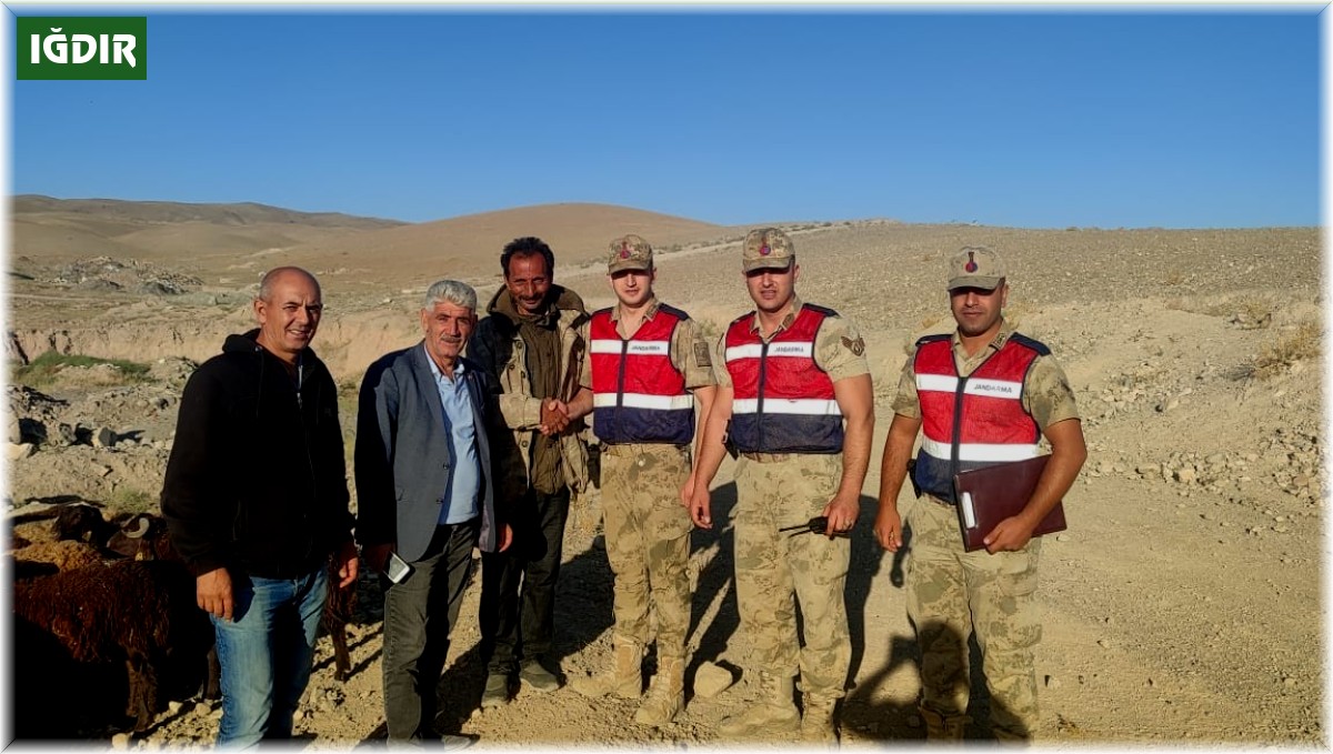 Iğdır'da hayvan hırsızlığı yapanlar yakalandı