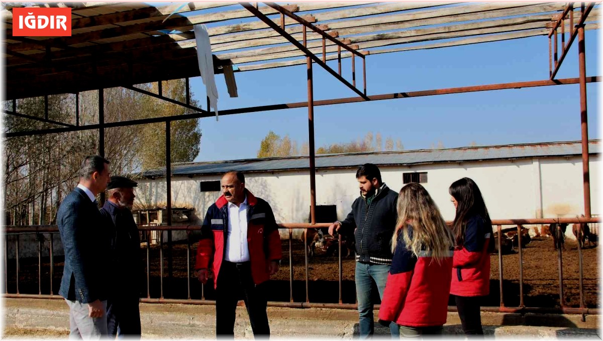 Iğdır'da hayvan işletmeleri ziyaret ediliyor