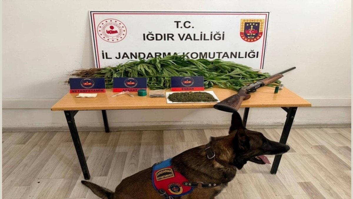 Iğdır'da jandarmadan uyuşturucu operasyonu: 1 kişi tutuklandı