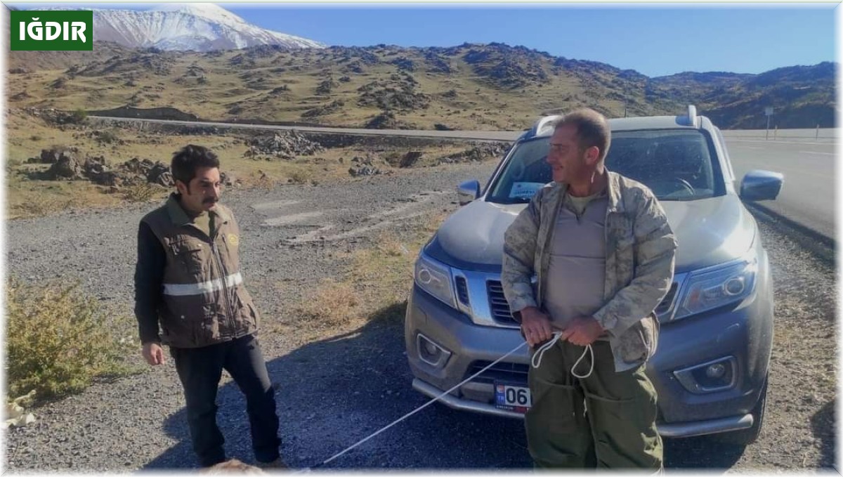 Iğdır'da kaçak avlanmaya karşı denetimler devam ediyor