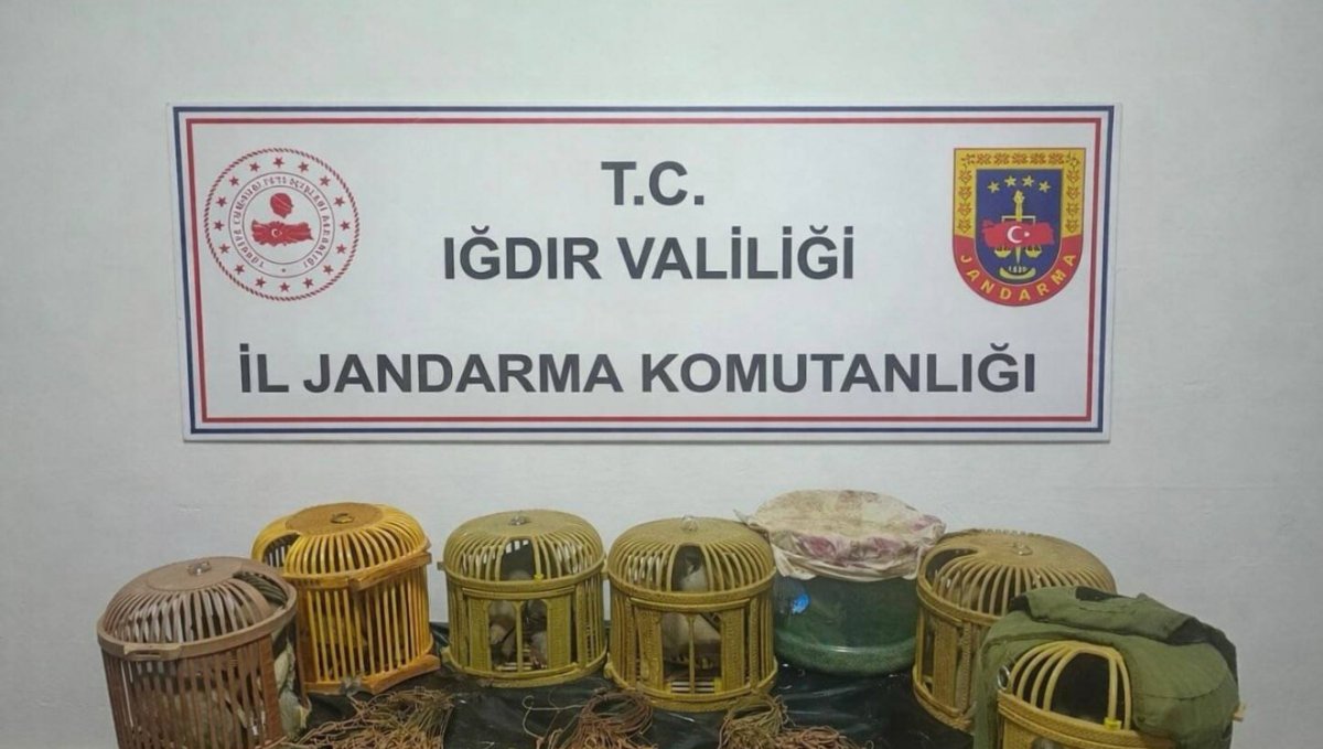 Iğdır'da kaçak keklik avcılarına 175 bin TL ceza
