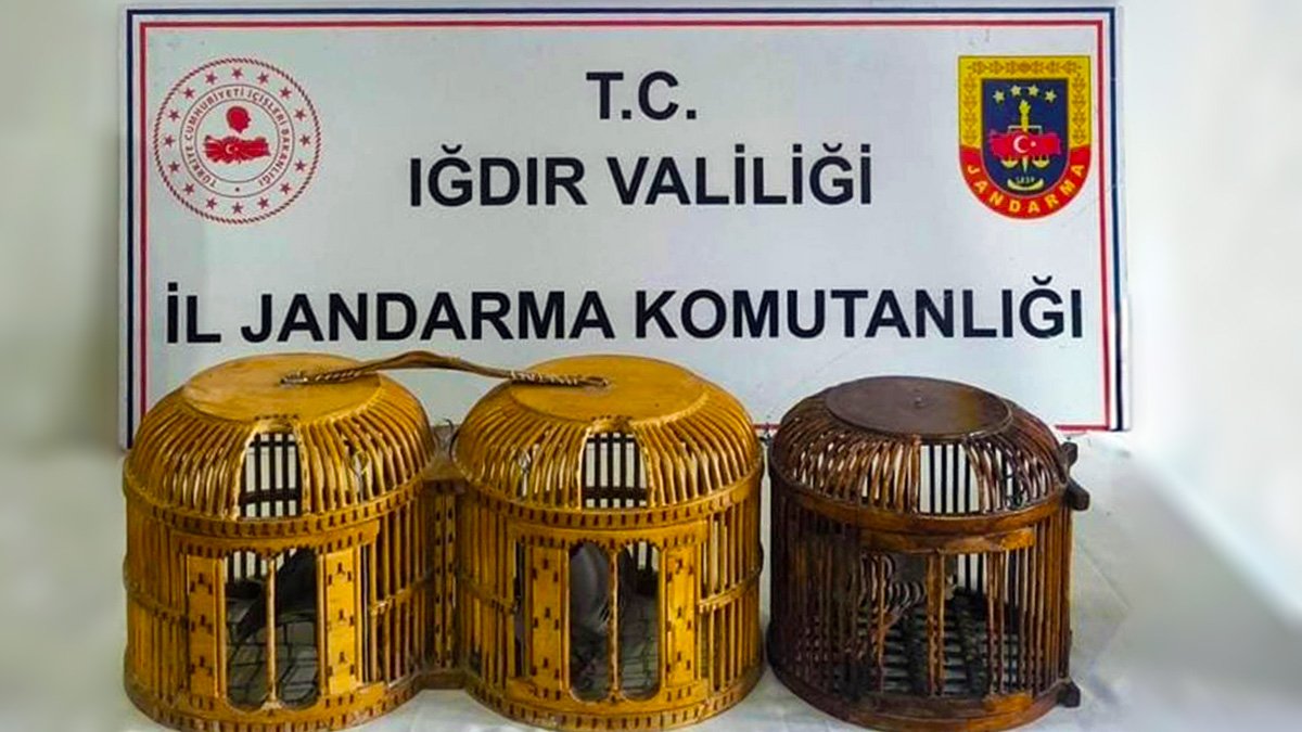 Iğdır'da kaçak keklik avına ağır ceza: 3 kişiye 72 bin 829 lira kesildi