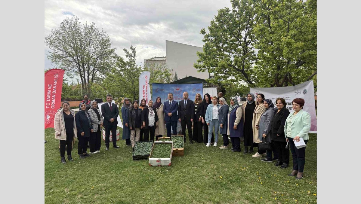 Iğdır'da kadın çiftçilere fide dağıtımı yapıldı