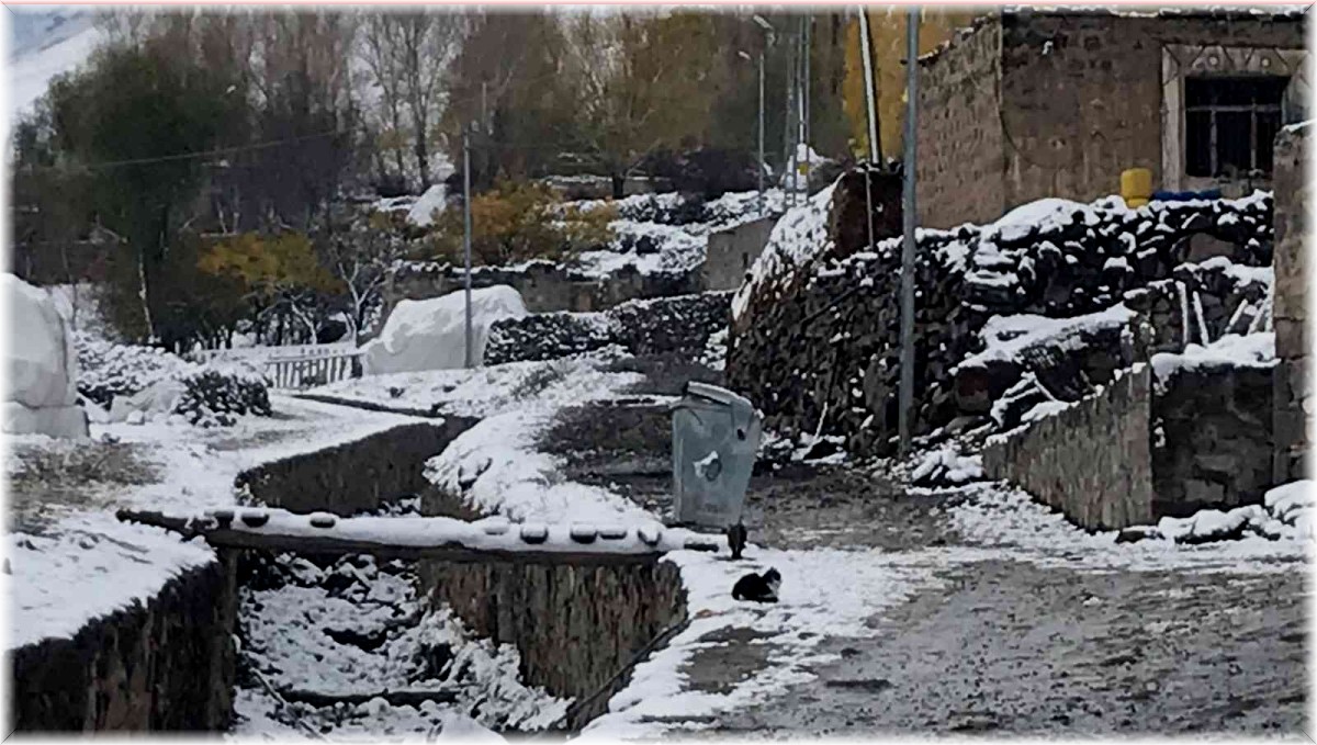 Iğdır'da kar ve tipi nedeniyle 2 köy yolu kapandı