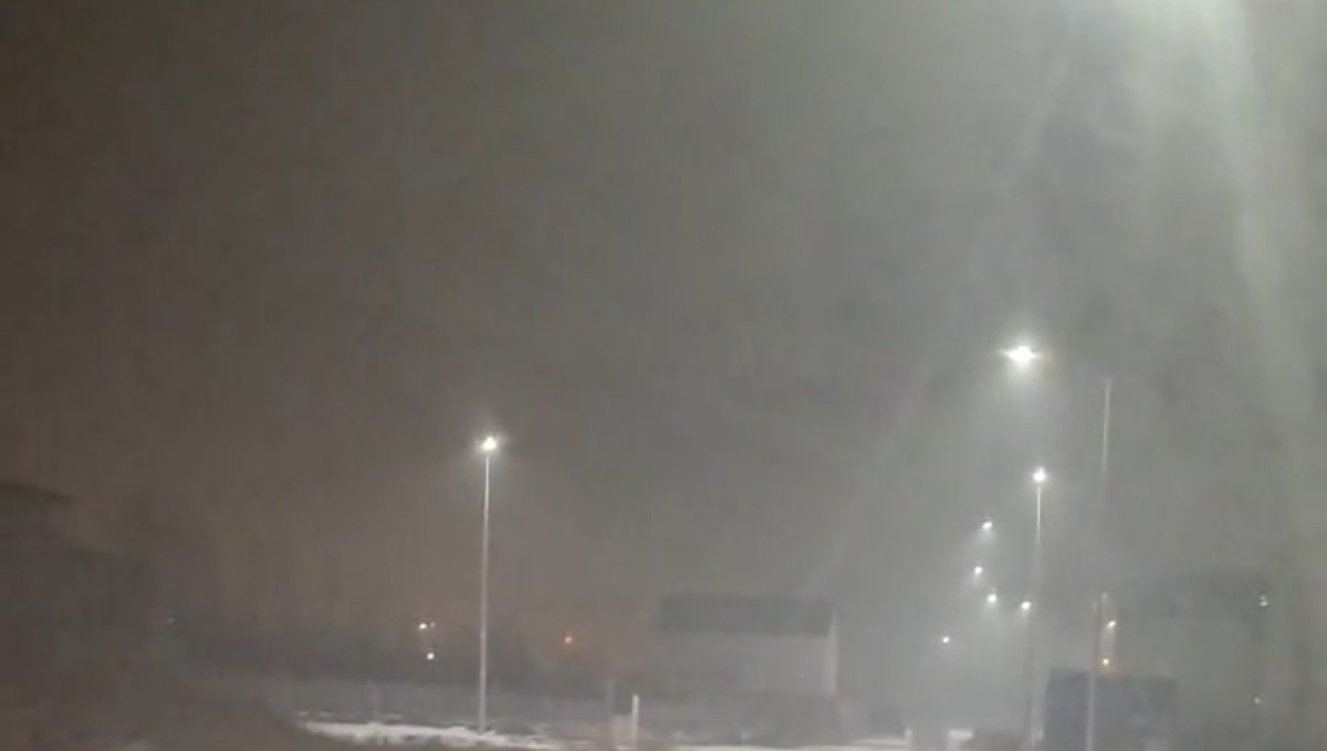 Iğdır'da kurtlar yerleşim yerlerine indi