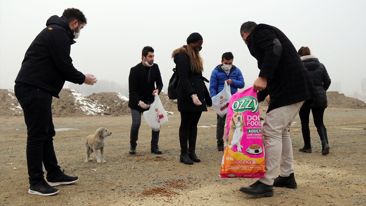 Iğdır'da öğretmenler sokak hayvanları için caddelere mama bıraktı
