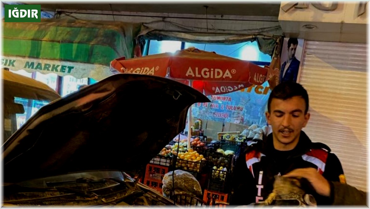 Iğdır'da otomobilin motoruna sıkışan yavru kedi kurtarıldı