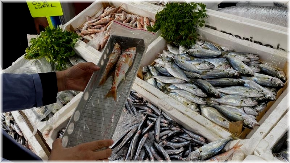 Iğdır'da perakende balık satışı yapan yerler denetlendi