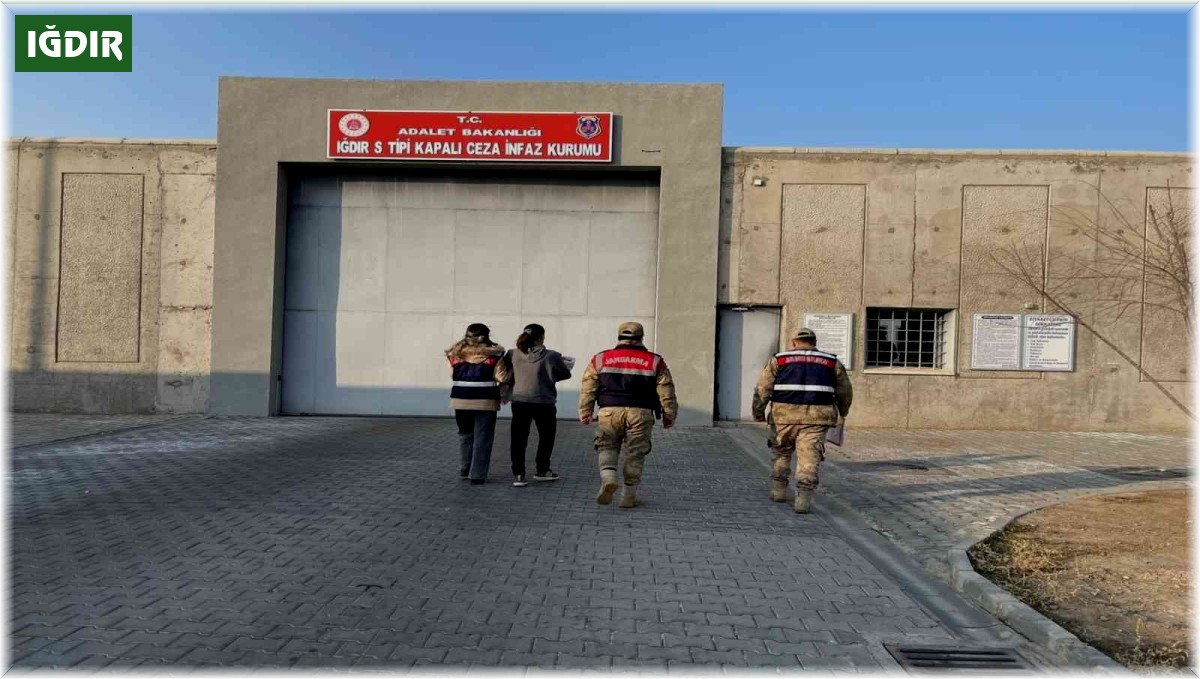 Iğdır'da resmi belgede sahtecilik suçundan 1 kişi tutuklandı