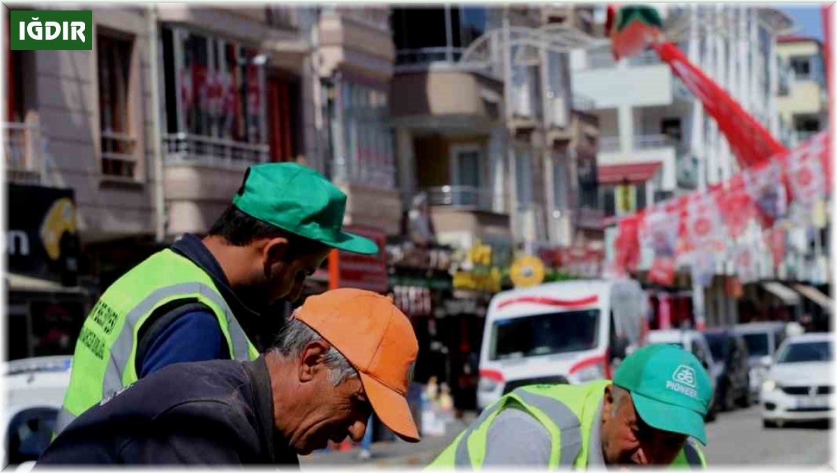 Iğdır'da şehir genelinde çiçek ekimi