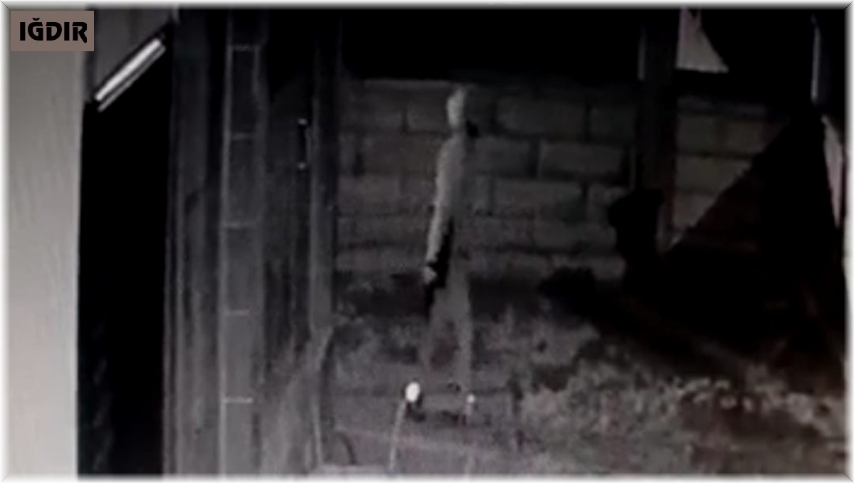 Iğdır'da 'silahlı hırsızlık girişimi' güvenlik kamerasına yansıdı