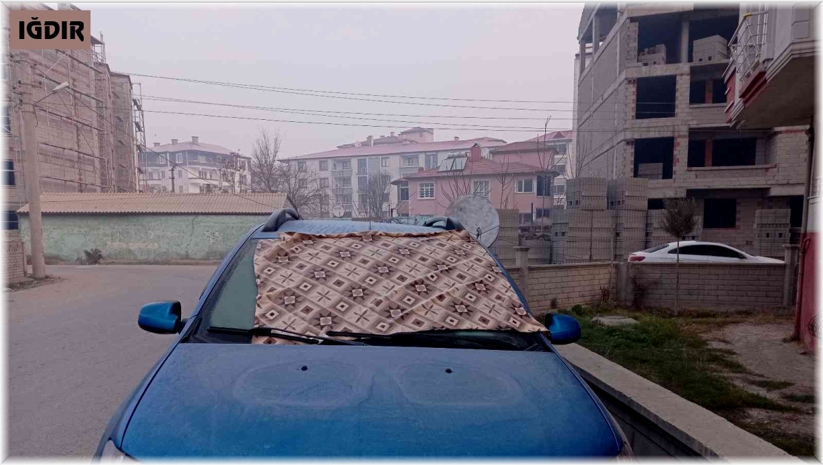 Iğdır'da soğuk hava ve sis etkili oluyor