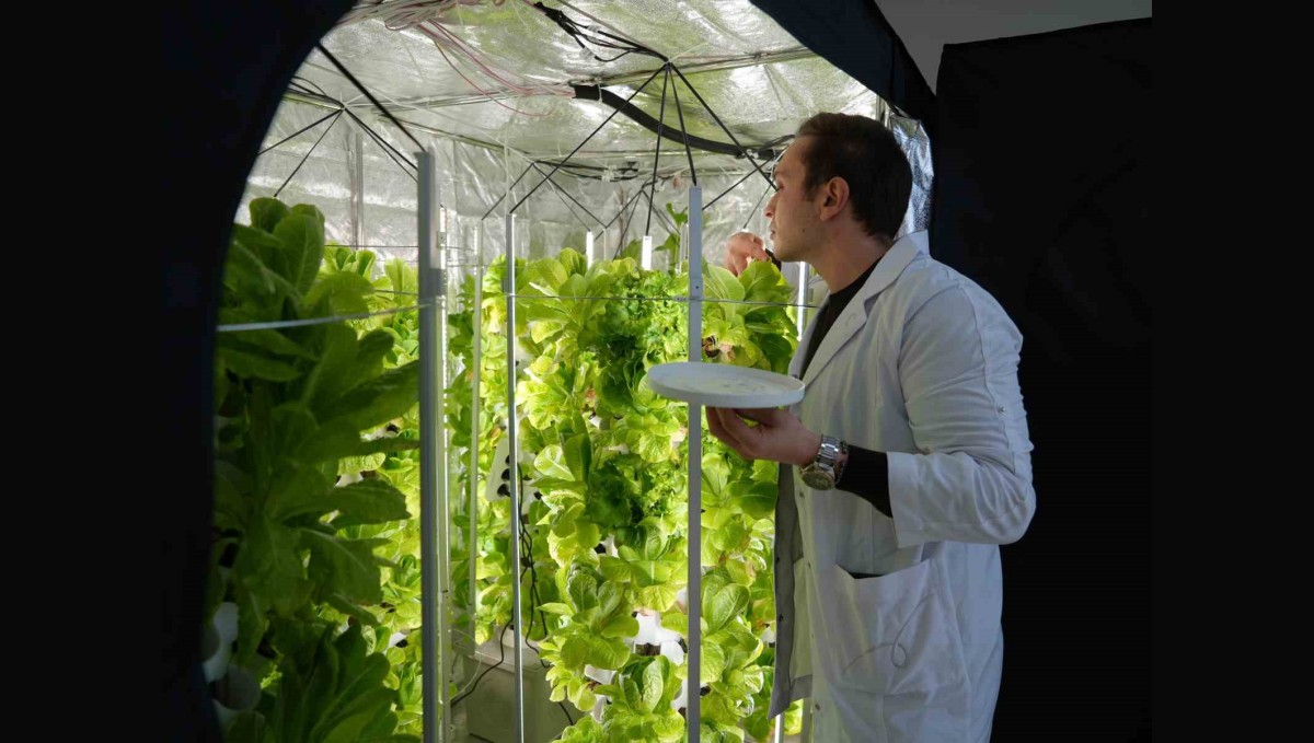 Iğdır'da topraksız tarım için ilk adım atıldı