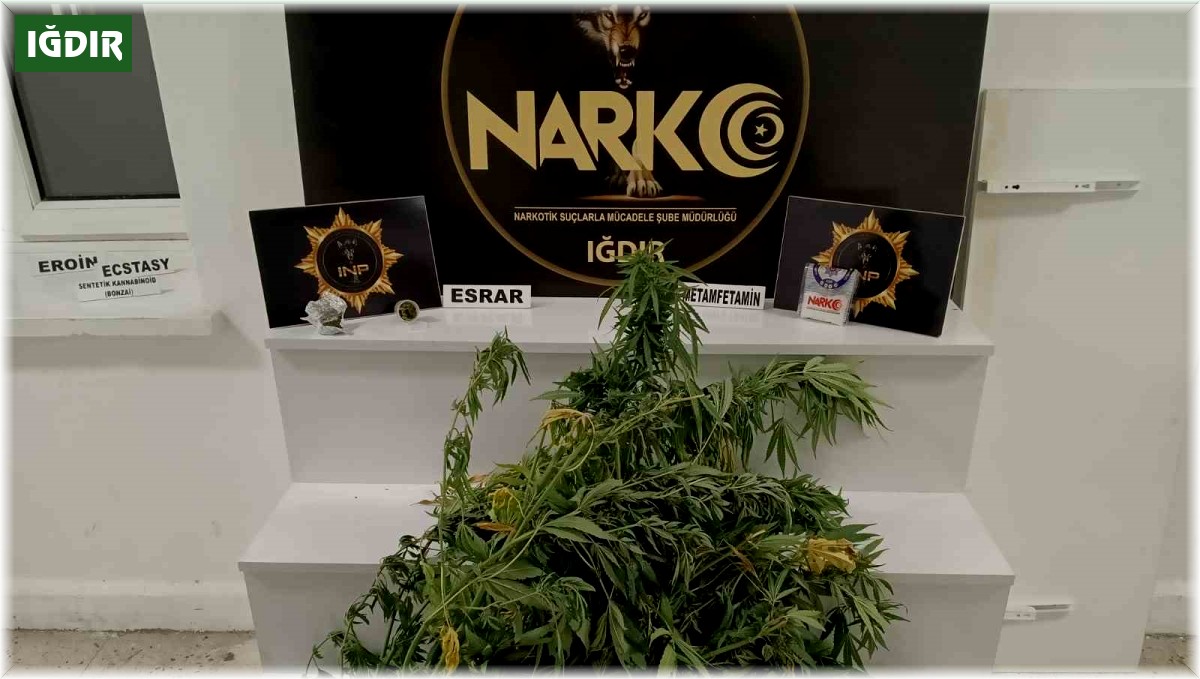 Iğdır'da uyuşturucu operasyonlarında 40 şüpheli tutuklandı