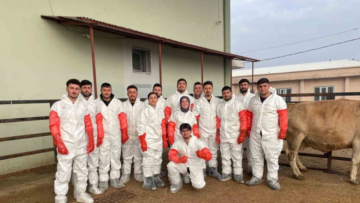 Iğdır'da veteriner sağlık teknisyenlerine suni tohumlama kursu düzenlendi