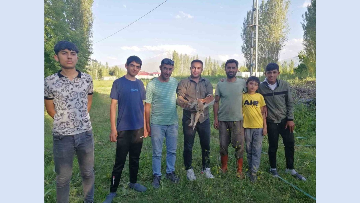 Iğdır'da yardıma muhtaç halde bulunan tilki doğal yaşamına kavuşturuldu