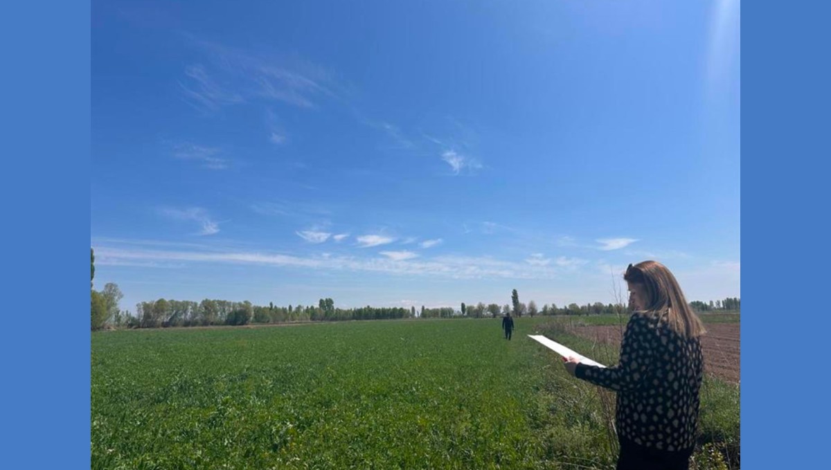 Iğdır'da yem bitkileri kontrolleri devam ediyor