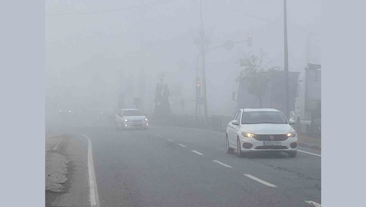 Iğdır'da yoğun sis etkili oldu