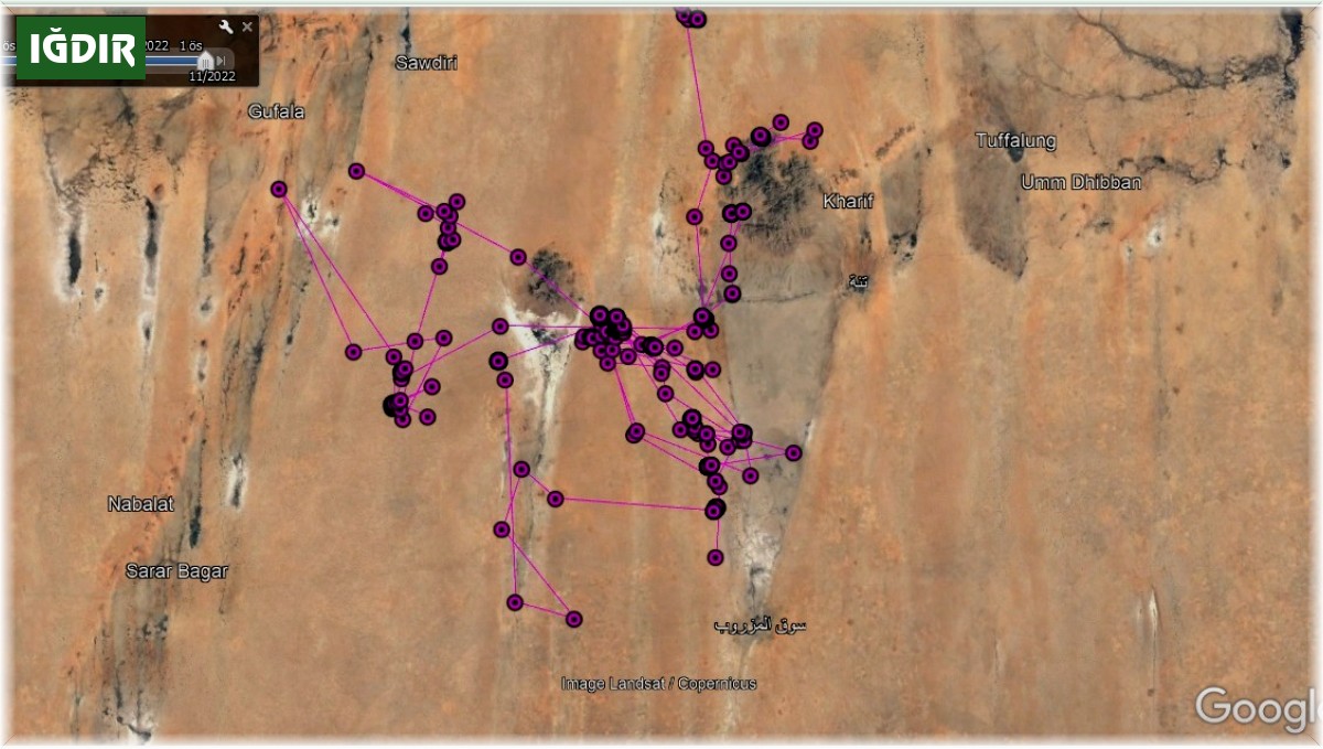 Iğdır'da yola çıkan bozkır kartalı Sudan'a ulaştı