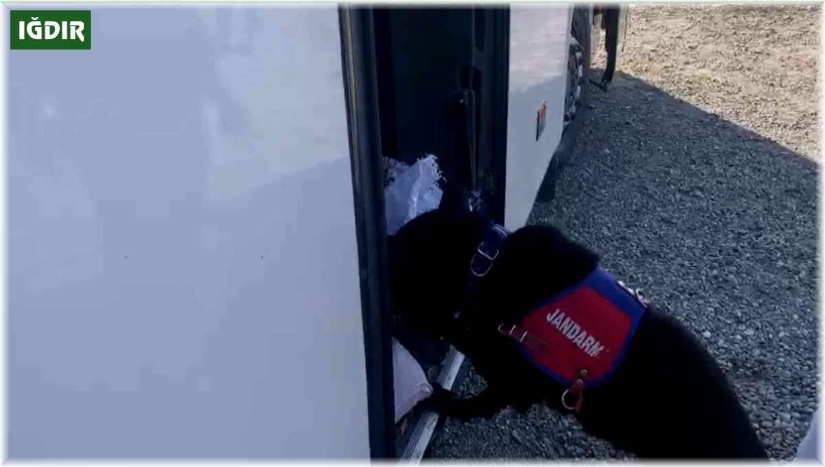 Iğdır'da yolcu otobüsünde uyuşturucu ele geçirildi