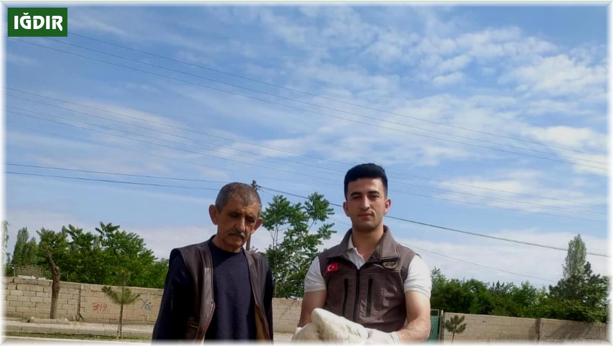 Iğdır'da yorgun düşen leylek bakıma alındı