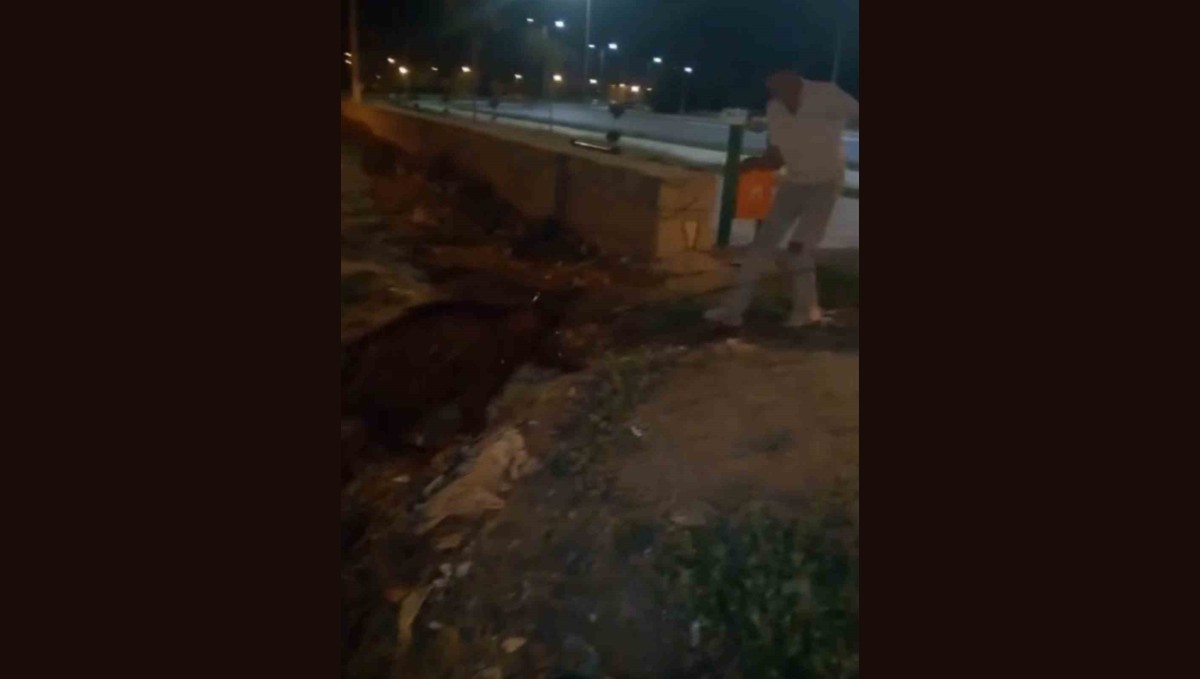 Iğdır'da yürüyüş yapan gençler, kanaldaki yaban domuzlarını kurtardı